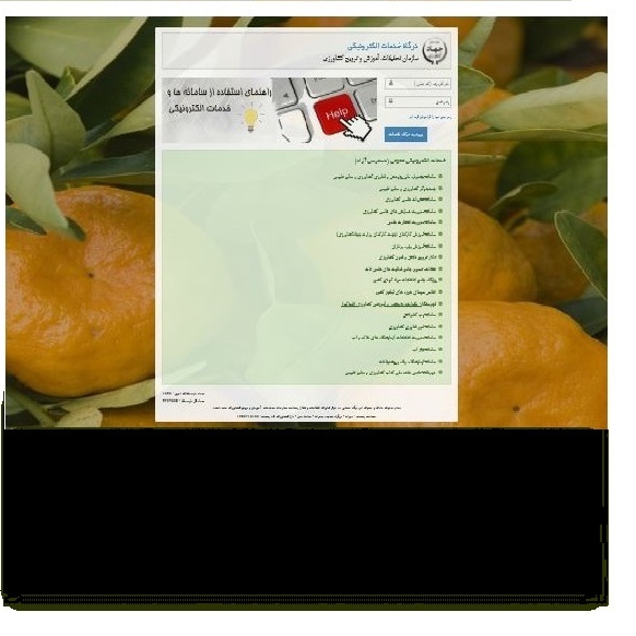 خدمات الکترونیک