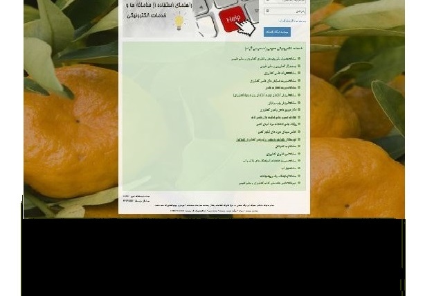 خدمات الکترونیک