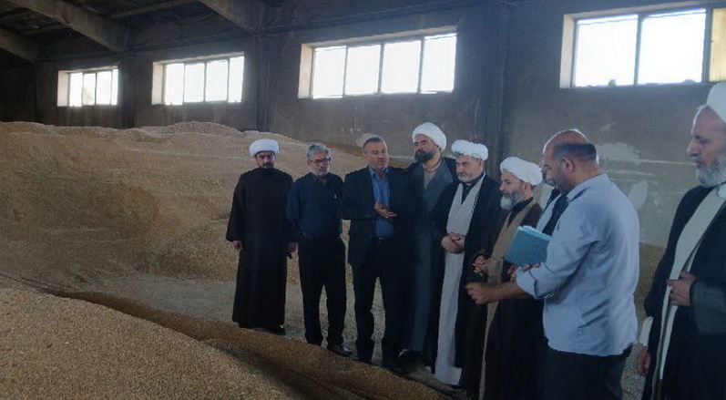 نظارت میدانی مسئولین نمایندگی ولی‌فقیه سازمان جهاد کشاورزی استان همدان بر روند خرید گندم در شهرستان ملایر