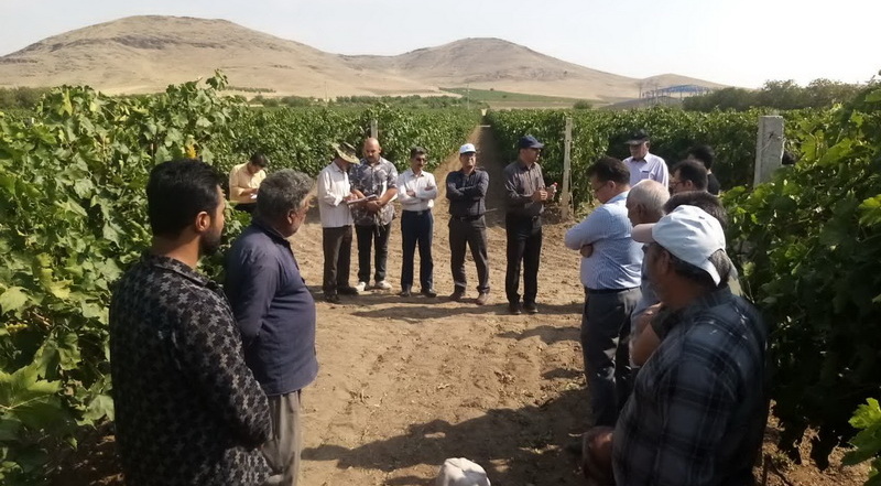 برگزاری دوره آموزشی-ترویجی باموضوع «کاربرد بیوچار در تولید محصولات کشاورزی» در شهرستان ملایر