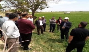 برگزاری دوره آموزشی تغذیه و برداشت یونجه در شهرستان فامنین