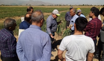 برگزاری روز انتقال یافته های تحقیقاتی سیر در ایستگاه تحقیقاتی اکباتان