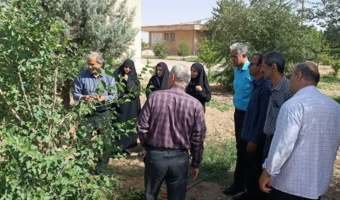 برگزاری دوره آموزشی پیوند درختان میوه در ایستگاه تحقیقاتی اکباتان