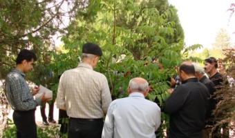 برگزاری دوره آموزشی پیوند درختان میوه در همدان