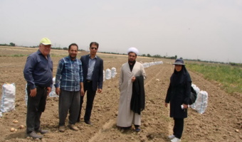 برگزاری کلاس آموزشی مدیریت بیماری‌ها و علف‌های هرز سیب‌زمینی در مزارع شهرستان بهار