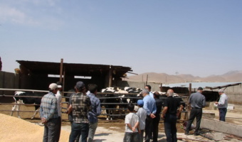 برگزاری دوره آموزشی اصول احداث جایگاه دام و پرورش گاو شیری در شهرستان رزن
