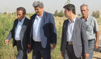 افتتاح پروژه پرورش ماهی قزل آلا در ایستگاه تحقیقاتی اکباتان با مشارکت بخش خصوصی
