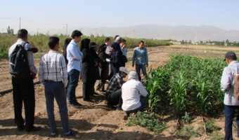 برگزاری دوره آموزشی زراعت چغندرقند و سورگوم در ایستگاه تحقیقاتی اکباتان