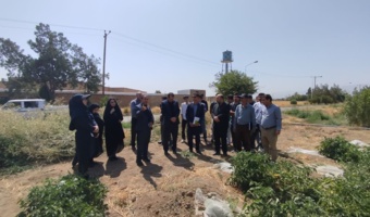 بازدید مدیرکل آموزش و پرورش استان همدان از طرح آموزش همراه تولید هنرجویان کشاورزی