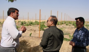 برگزاری کلاس آموزشی کاشت ، داشت و برداشت محصول انگور در شهرستان رزن
