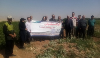 برگزاری  دوره آموزشی ارقام نوین گوجه ‌فرنگی در اسدآباد