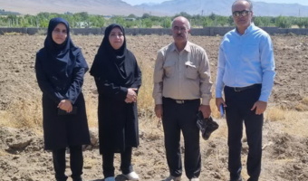بازدید کمیته فنی نهال استان همدان از باغ مادری انگور ملایر