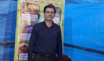 برگزاری دومین جشنواره ملی انگور جهان در ملایر