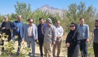 بازدید میدانی از باغ انگور در شهرستان ملایر