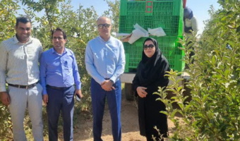 بازدید میدانی تیم کارشناسی از باغ سیب و سردخانه رزن برای انتخاب «باغدار نمونه کشوری»