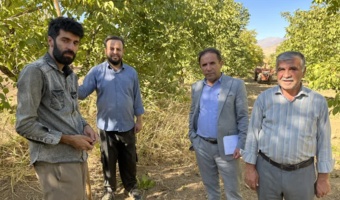 بازدید میدانی رئیس مرکز تحقیقات کشاورزی همدان از قطب‌های نهال و انگور استان در شهرستانهای تویسرکان و ملایر