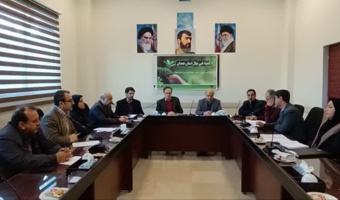 ساماندهی تولید و عرضه نهال؛ گامی مؤثر در ارتقای باغبانی استان همدان