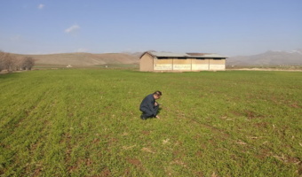 بازدید رئیس مرکز تحقیقات و آموزش کشاورزی و منابع طبیعی همدان از ایستگاه تحقیقاتی لک‌لک اسدآباد