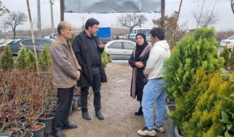 بازدید از مراکز عرضه نهال در استان همدان