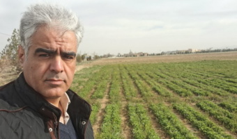 بازدید از مزارع تکثیر بذر غلات و پروژه‌های فعال در ایستگاه تحقیقاتی اکباتان