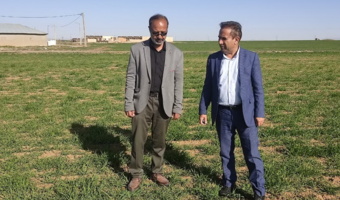 بازدید میدانی از مزارع تکثیری گندم و جو ایستگاه تحقیقاتی تجرک؛ پژوهش و نوآوری، تضمین امنیت غذایی کشور