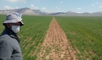 بازدید از مزارع پرورشی جو دیم در طبقات دو و سه پرورشی
