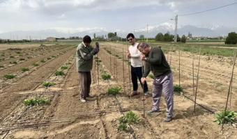 آغازعملیات نصب ملزومات کیج در قطعه اصلاحی تولید بذر چغندرقند در ایستگاه تحقیقات اکباتان