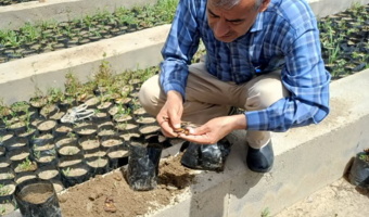 بازدید میدانی از نهالستان قدس اداره کل منابع طبیعی و آبخیزداری استان همدان در شهرستان ملایر