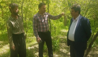 بازدید میدانی از باغات آلبالو در شهرستان ملایر