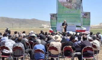 برگزاری روز مزرعه گندم، جو و حبوبات در شهرستان کبودرآهنگ