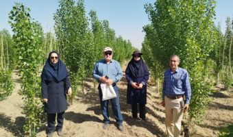 بازدید از مزرعه تولید چوب و صنوبرکاری تصفیه‌خانه شهرستان همدان برای بررسی آفات و بیماری‌ها
