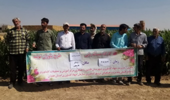برگزاری دوره آموزشی و ترویجی «مدیریت مزارع ذرت» در شهرستان فامنین
