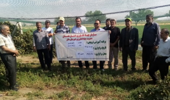 برگزاری دوره آموزشی- ترویجی با موضوع " اصول و فنون هرس باغات انگور داربستی" در شهرستان ملایر