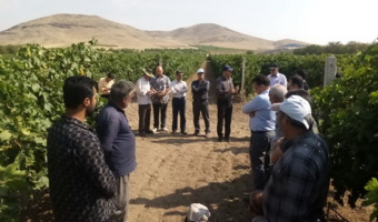 برگزاری دوره آموزشی-ترویجی باموضوع «کاربرد بیوچار در تولید محصولات کشاورزی» در شهرستان ملایر