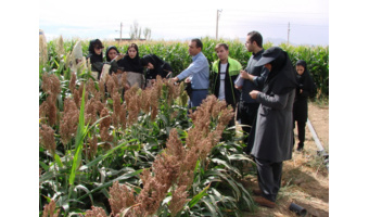 برگزاری دوره آموزشی ـ ترویجی در حوزه زراعت، گیاه‌پزشکی و تولید محصولات کشاورزی ویژه دانشجویان دانشکده کشاورزی در ایستگاه تحقیقات کشاورزی اکباتان