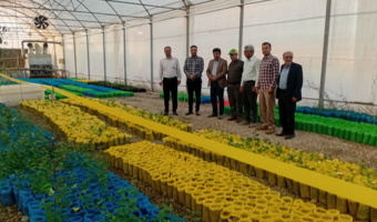ارزیابی تخصصی و پایش زنجیره تولید نهال‌های گواهی‌شده در شهرستان تویسرکان