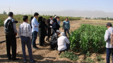 برگزاری دوره آموزشی زراعت چغندرقند و سورگوم در ایستگاه تحقیقاتی اکباتان