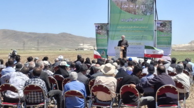 برگزاری روز مزرعه گندم، جو و حبوبات در شهرستان کبودرآهنگ