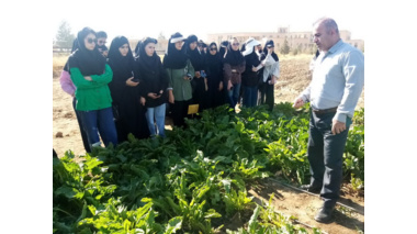 برگزاری دوره آموزشی- مهارتی و بازدید دانشجویان دانشکده کشاورزی بوعلی از ایستگاه تحقیقاتی اکباتان