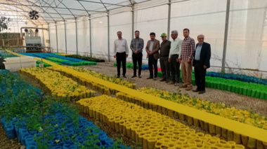 ارزیابی تخصصی و پایش زنجیره تولید نهال‌های گواهی‌شده در شهرستان تویسرکان
