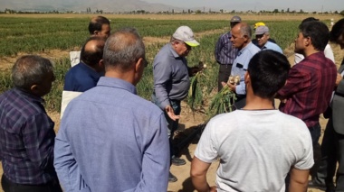 برگزاری روز انتقال یافته های تحقیقاتی سیر در ایستگاه تحقیقاتی اکباتان
