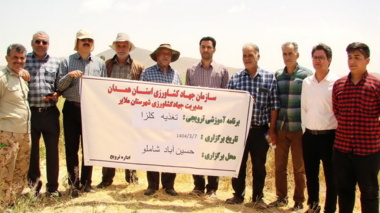 برگزاری حضور میدانی محققان معین با محوریت تغذیه و داشت کلزا در شهرستان ملایر