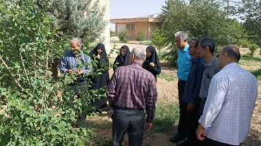 برگزاری دوره آموزشی پیوند درختان میوه در ایستگاه تحقیقاتی اکباتان