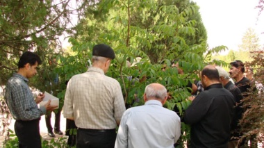 برگزاری دوره آموزشی پیوند درختان میوه در همدان