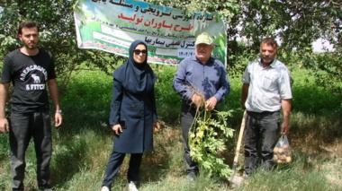 برگزاری کارگاه آموزشی مدیریت تلفیقی بیماری‌ها و علف‌های هرز سیب‌زمینی در شهرستان بهار