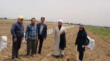 برگزاری کلاس آموزشی مدیریت بیماری‌ها و علف‌های هرز سیب‌زمینی در مزارع شهرستان بهار
