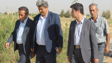 افتتاح پروژه پرورش ماهی قزل آلا در ایستگاه تحقیقاتی اکباتان با مشارکت بخش خصوصی