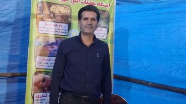 برگزاری دومین جشنواره ملی انگور جهان در ملایر