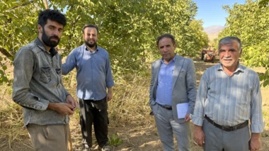 بازدید میدانی رئیس مرکز تحقیقات کشاورزی همدان از قطب‌های نهال و انگور استان در شهرستانهای تویسرکان و ملایر