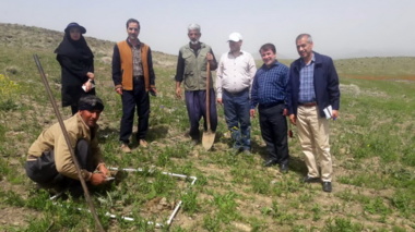 بازدید و برآورد عملکرد از مزرعه کنگر ایرانی در شهرستان ملایر